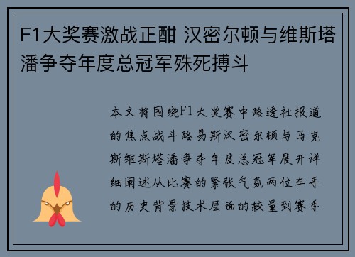 F1大奖赛激战正酣 汉密尔顿与维斯塔潘争夺年度总冠军殊死搏斗